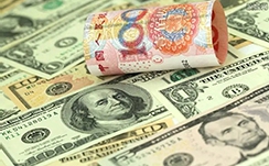 云南蘑菇是什么梗